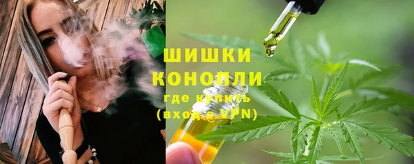 мдпв Няндома