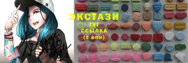 spice Богородицк