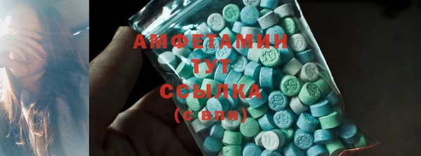 spice Богородицк