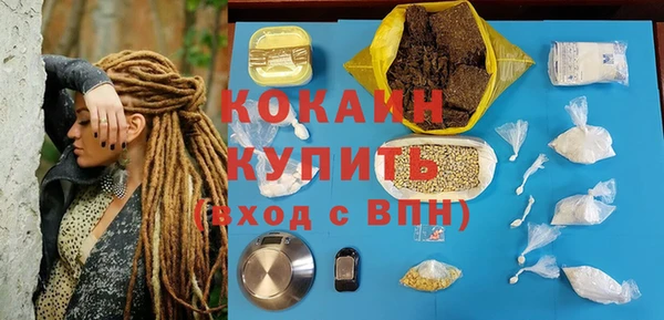 spice Богородицк