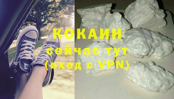 мдпв Няндома