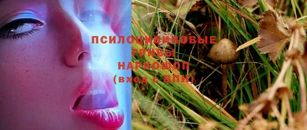 мдпв Няндома